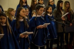 koncert_koled_33
